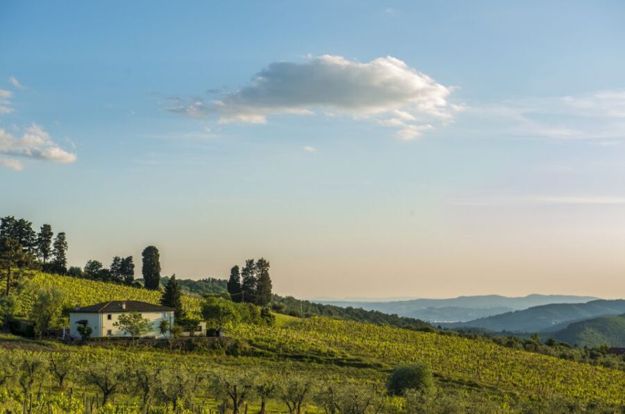 Exclusive Chianti Rufina Half-Day with lunch from Florence - Tenuta di Grignano: 105 minutes of guided tour and wine tasting