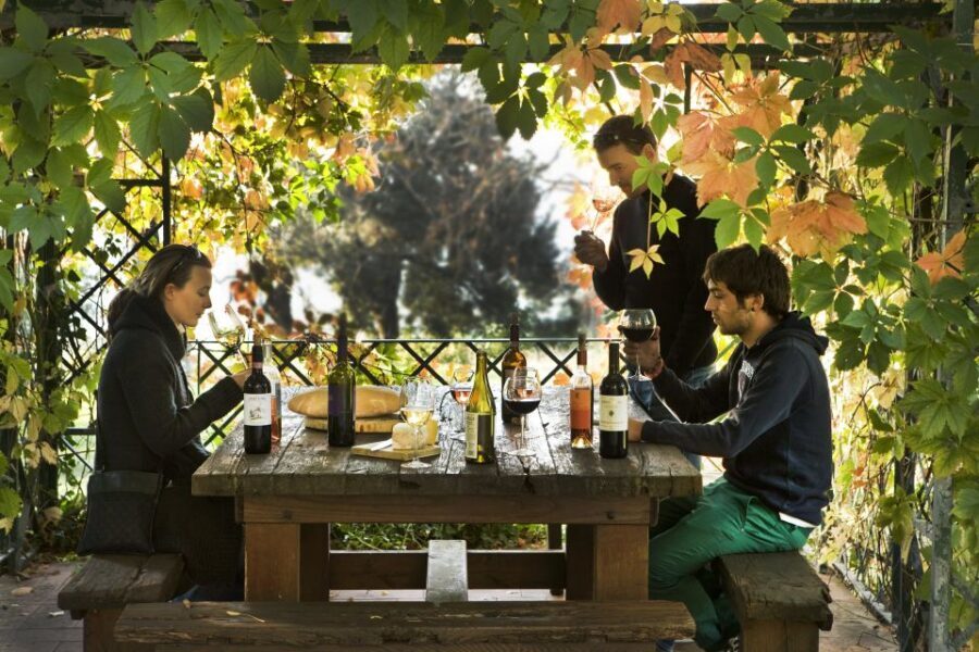 Exclusive Chianti Rufina Half-Day with lunch from Florence - Tenuta Bossi and your km 0 lunch: where the day really clicks