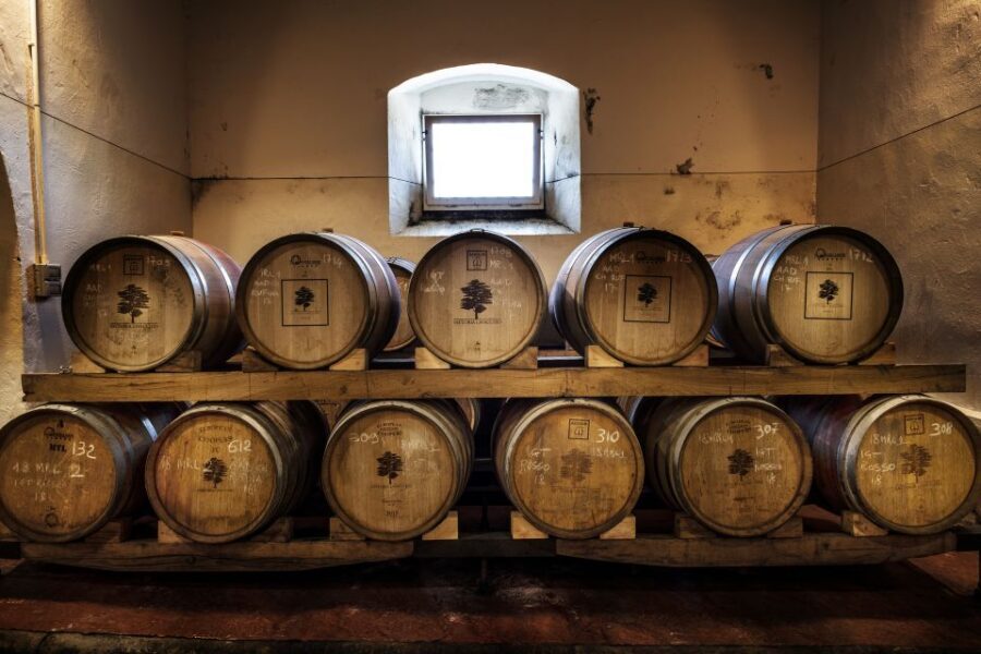 Exclusive Chianti Rufina Half-Day with lunch from Florence - The history thread: from Etruscan roots to Medici law