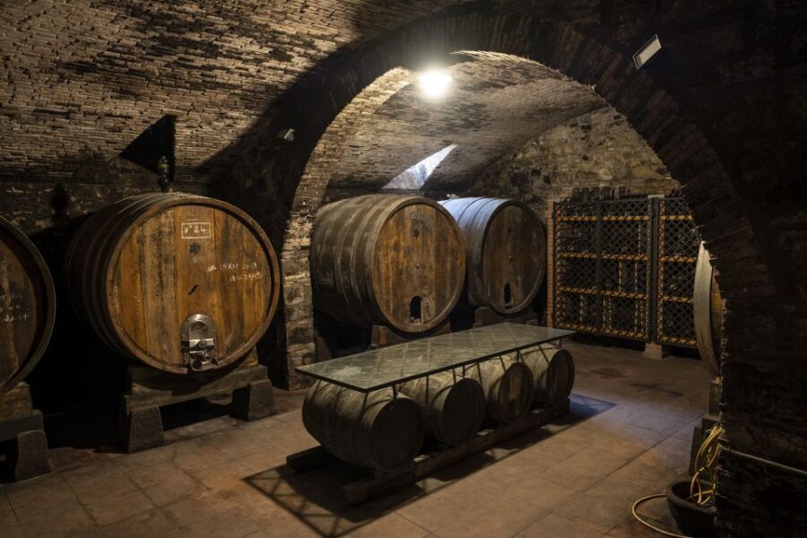 Exclusive Chianti Rufina Half-Day with lunch from Florence - Price and value: what you’re actually paying for at $450.56 per person