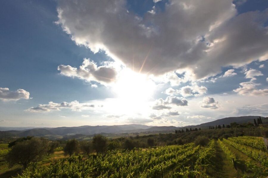 Exclusive Chianti Rufina Half-Day with lunch from Florence - Who should book this half-day Chianti Rufina experience