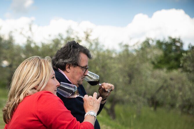 Exclusive lunch, Winery tour, Organic wines in Chianti Classico - Exclusive lunch: Tuscan specialties and the tiramisu you’ll remember