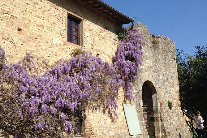 Exclusive Private tour To Siena and San Gimignano - Key things I’d center in your planning