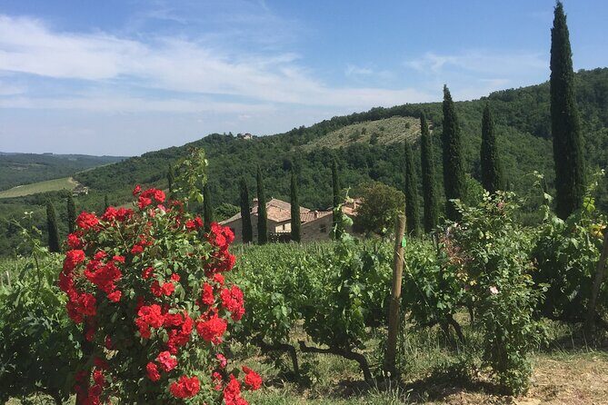 Exclusive Private tour To Siena and San Gimignano - Price and value: what $937.19 per group really covers