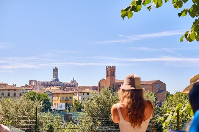 Exclusive Siena and San Gimignano Tour & Chianti Wine Experience - Gelato stop at Gelateria Dondoli: a timed treat that’s easy to enjoy