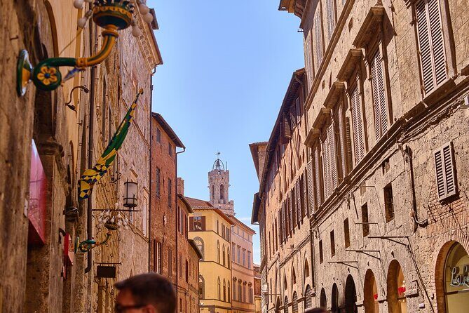 Exclusive Siena and San Gimignano Tour & Chianti Wine Experience - Logistics that keep this manageable: small group and language expectations