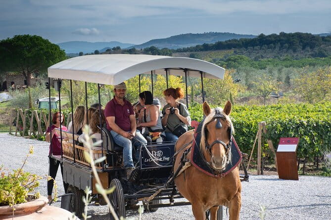 Exclusive Suvereto tour from Florence: Land of Elisa Bonaparte - Key highlights you’ll care about