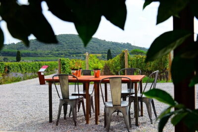 Exclusive Suvereto tour from Florence: Land of Elisa Bonaparte - Azienda Agricola I Mandorli: organic wine with Elba and Montecristo in view