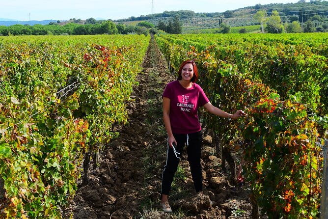Exclusive Suvereto tour from Florence: Land of Elisa Bonaparte - Should you book this Suvereto wine tour from Florence?