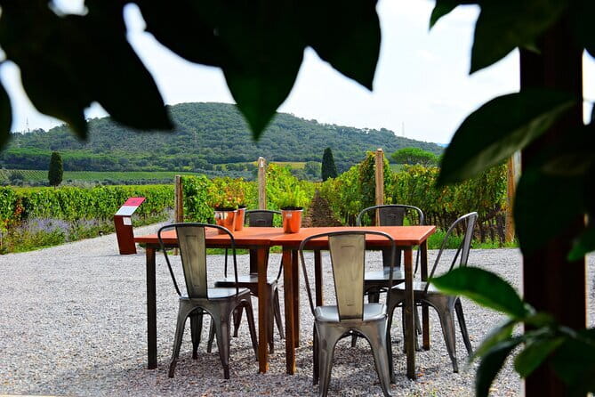 Exclusive Suvereto tour from Florence: Land of Elisa Bonaparte - Azienda Agricola I Mandorli: organic wine with Elba and Montecristo in view