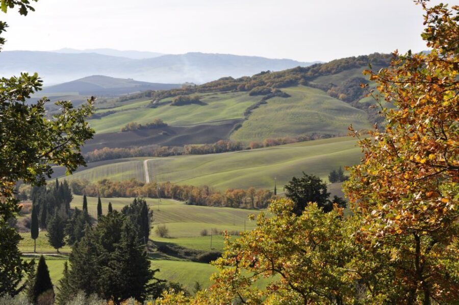 Exclusive Val d’Orcia Full-Day Wine Tour from Florence - Montepulciano: wine tasting plus real free time in a hill town