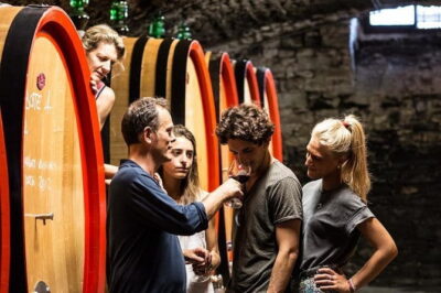 EXCLUSIVE - Wine Tasting near Florence with Castle and Ancient Cellars Tour - The castle tour: courtyard stories, grounds views, and private rooms