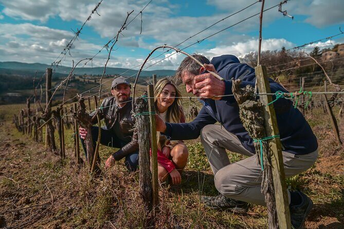 Exclusive Wine Tour and Tasting Experience in Siena - Highlights You’ll Feel Instantly at La Lastra