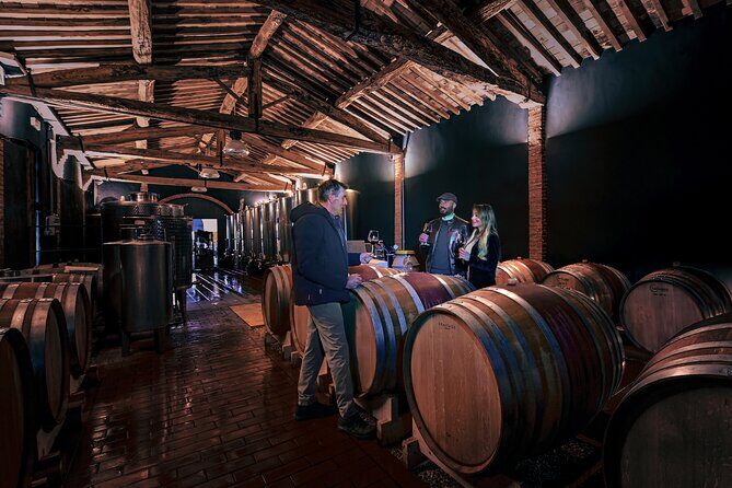 Exclusive Wine Tour and Tasting Experience in Siena - A Small-Group Organic Winery Day Just Outside Siena