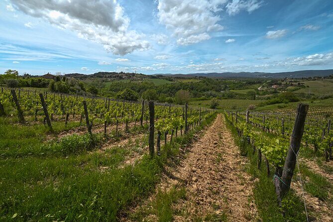 Exclusive Wine Tour and Tasting Experience in Siena - Stop 3: Tasting 5 Organic Wines Like a Taster, Not a Tourist
