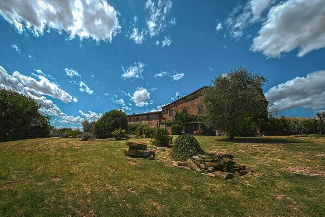 Exclusive Wine Tour and Tasting Experience in Siena - Stop 1: Vineyard Ecology and Organic Sustainability, Explained Simply