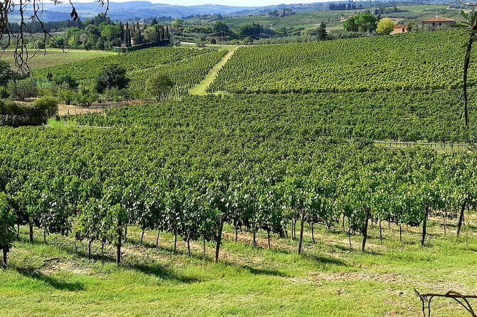 EXCLUSIVE Wine Tour in Chianti & San Gimignano (Lunch & Wine Tasting included) - Price and value: is $301.03 a good deal for what you get?