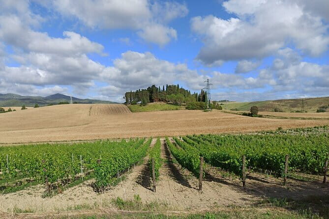 EXCLUSIVE Wine Tour in Chianti & San Gimignano (Lunch & Wine Tasting included) - Florence pickup at 9:00 am, then straight into the Chianti hills