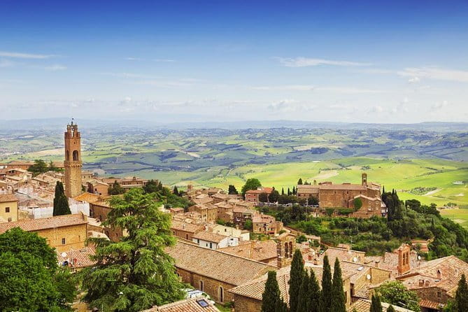 Exclusive Winery Tour with Tasting and Dinner in Chianti vineyard - Wine You Can Use Later: Tastings, Oil, Balsamic, and Shipping Home
