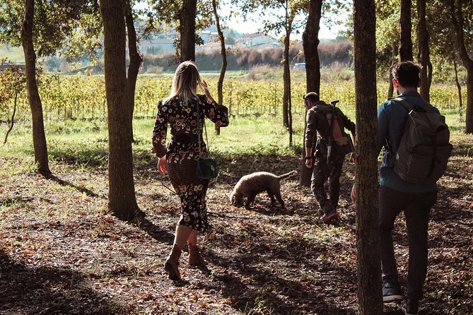 Experience Tuscan Truffle Hunting with Wine and Lunch - Key highlights worth your attention