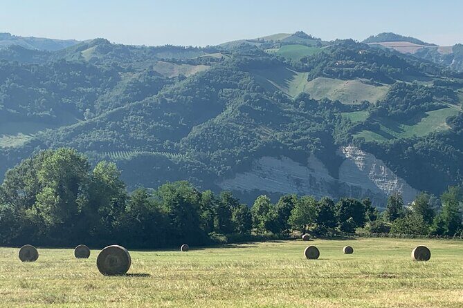 FARM STAY EXPERIENCE & DOZZA - Private Day Tour From Bologna - How the 8-hour schedule actually feels (and how to prepare)