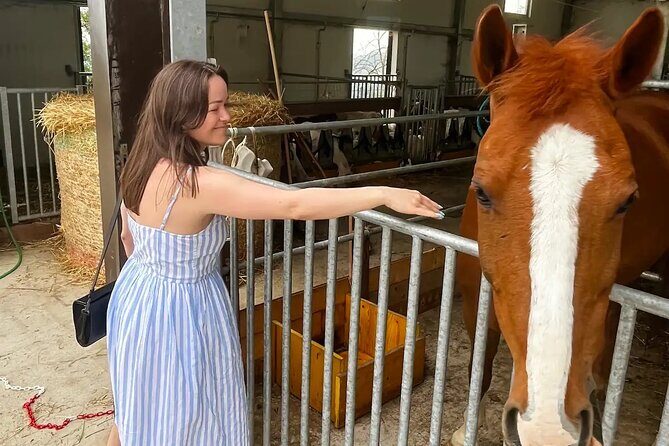 FARM STAY EXPERIENCE & DOZZA - Private Day Tour From Bologna - My quick decision guide: should you book