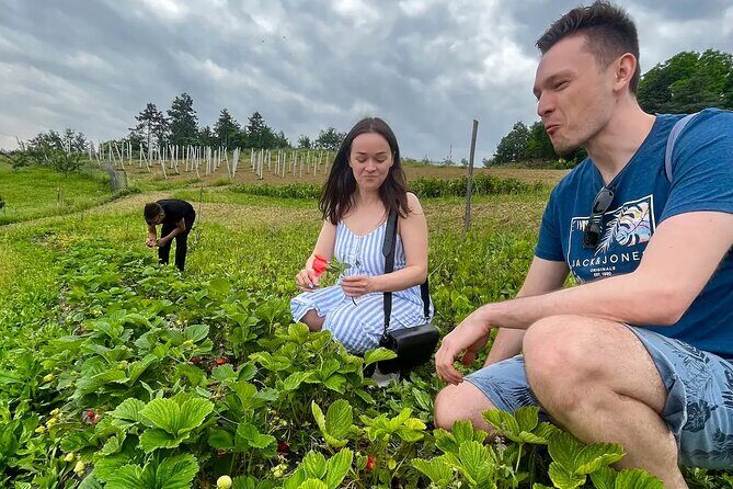FARM STAY EXPERIENCE & DOZZA - Private Day Tour From Bologna - Fontanelice farm stay at Agriturismo La Taverna: meet the real working day