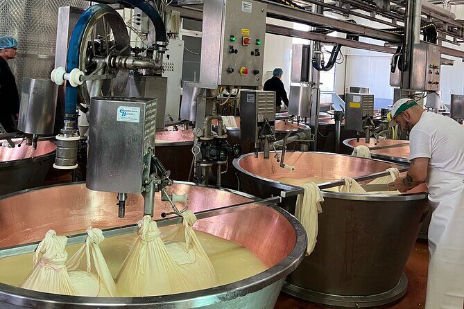 Ferrari, Parmesan and Balsamic Day Tour from Bologna - The best parts in a glance
