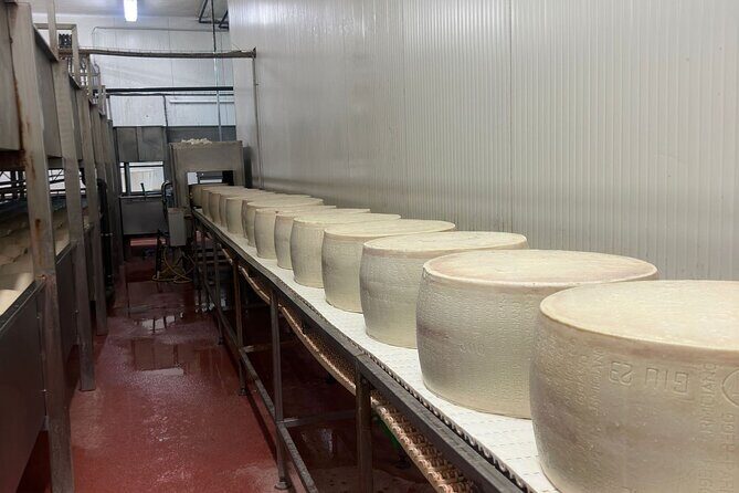 Ferrari, Parmesan and Balsamic Day Tour from Bologna - Parmigiano-Reggiano in Castelfranco Emilia: the factory visit and the big tasting payoff