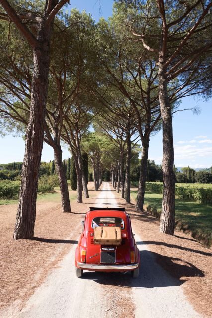 Fiat 500: Self-Tour in the Tuscan countryside - The optional winery picnic: 35€ per person, olive groves included
