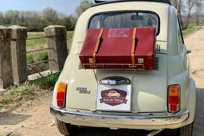 Fiat 500 Self-Tour: Visit the Tuscan Countryside in a Vintage Car - Compitese county: olive groves, rolling hills, and real scale
