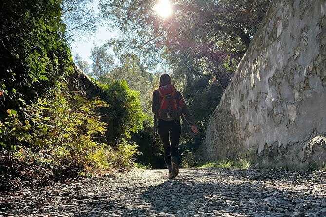 Fiesole Hike & Italian Aperitivo - Olive groves to Maiano Estate: slow Tuscan countryside with big payoff