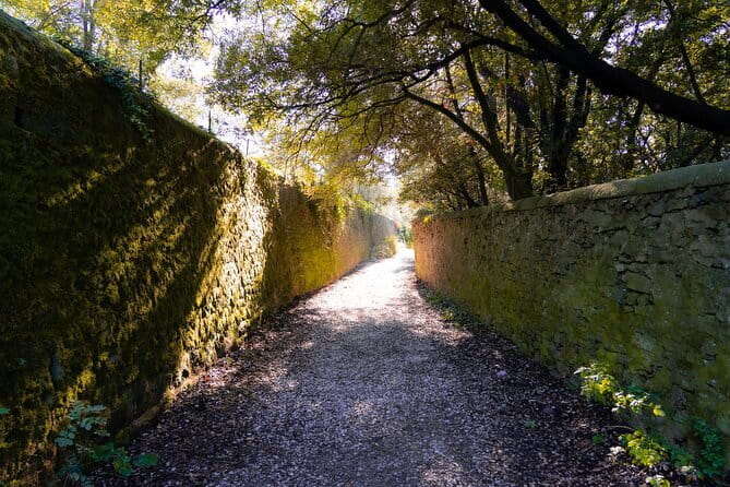 Fiesole Hike & Italian Aperitivo - A guided hike that keeps you off the wrong turns