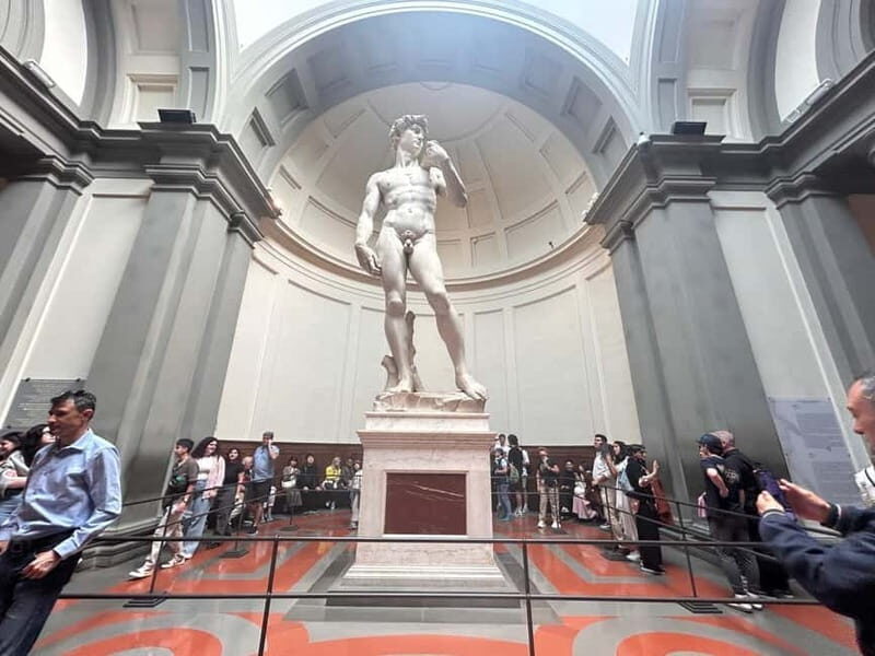 Florence: Accademia and David Entrance Ticket with a Host - Medici Musical Instruments and the Stradivarius Factor
