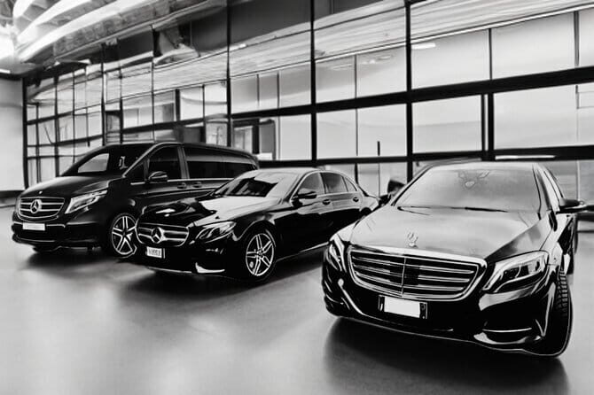 Florence Airport Hotel transfer private driver English speaking - Key Points to Know Before You Go