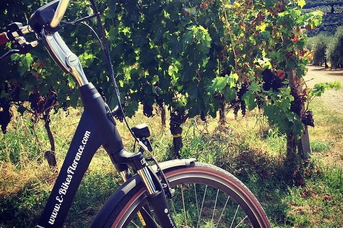 Florence bike tour with Piazzale Michelangelo. - Piazzale Michelangelo: your panorama payoff