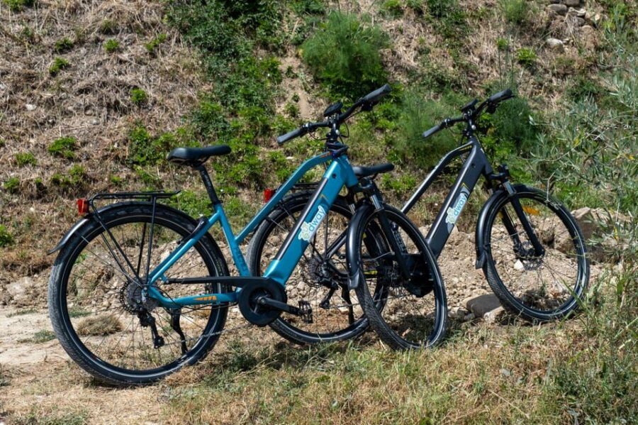 Florence: Chianti E-Bike Tour with Wine Tasting and Lunch - Biological wine tasting: how the tasting fits the ride