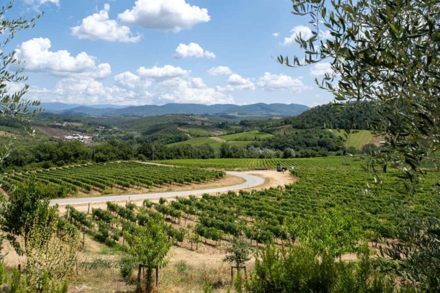 Florence: Chianti E-Bike Tour with Wine Tasting and Lunch - Bikes, helmets, and comfort details that actually matter