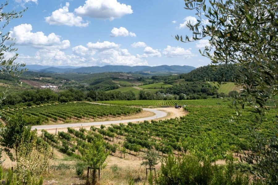 Florence: Chianti E-Bike Tour with Wine Tasting and Lunch - Pace and safety: what to expect from the ride style