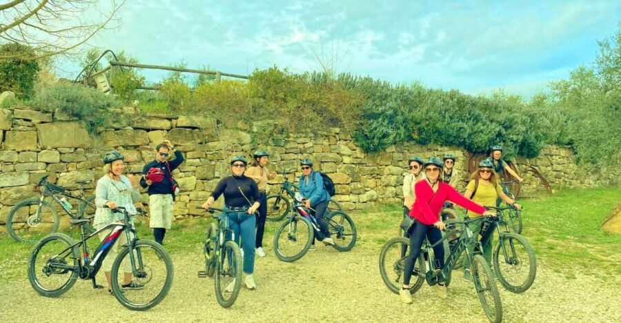 Florence: Country Ebike tour + Wine tasting in organic farm - Key highlights worth your attention