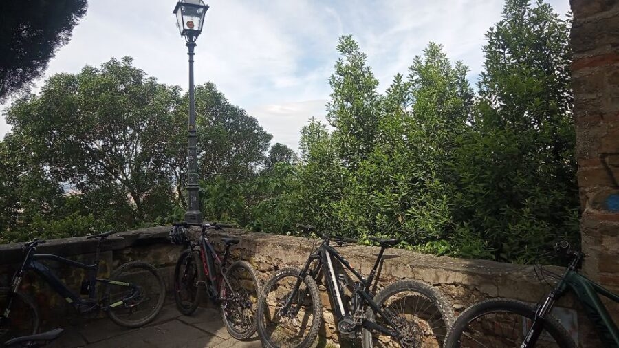 Florence: Country Ebike tour + Wine tasting in organic farm - The organic farm stop: wine tasting with food and real production