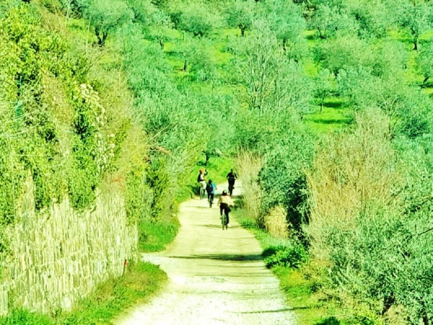 Florence: Country Ebike tour + Wine tasting in organic farm - The guide experience: Enrico’s local touch