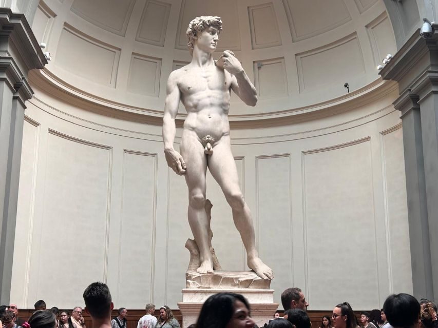 Florence: David's Accademia timed Ticket with Audio APP - Painting Galleries: Medieval and Renaissance Works in Context