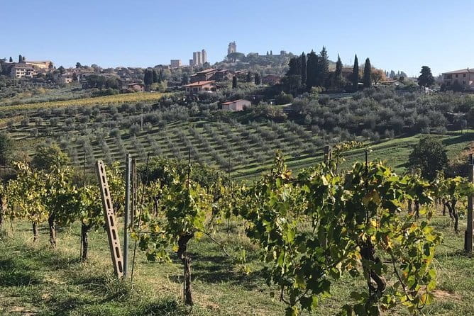 Florence Day Trip to Volterra and San Gimignano - Private Mercedes minivan and a guide who can actually flex