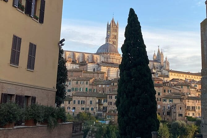 Florence: Day Trip with Free Time in San Gimignano and Siena - Siena by Foot: Contrade Streets, Piazza del Campo, and Palio Energy