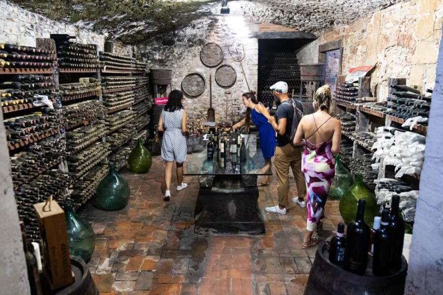 Florence: Exclusive Chianti Wine Tour at 3 Wineries & Lunch - Winery #3: valley views and tastings beyond Chianti