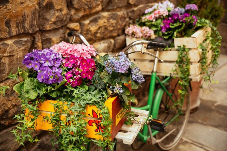 Florence: Family-Friendly Private Tour - Guide style: keeping kids interested in real conditions