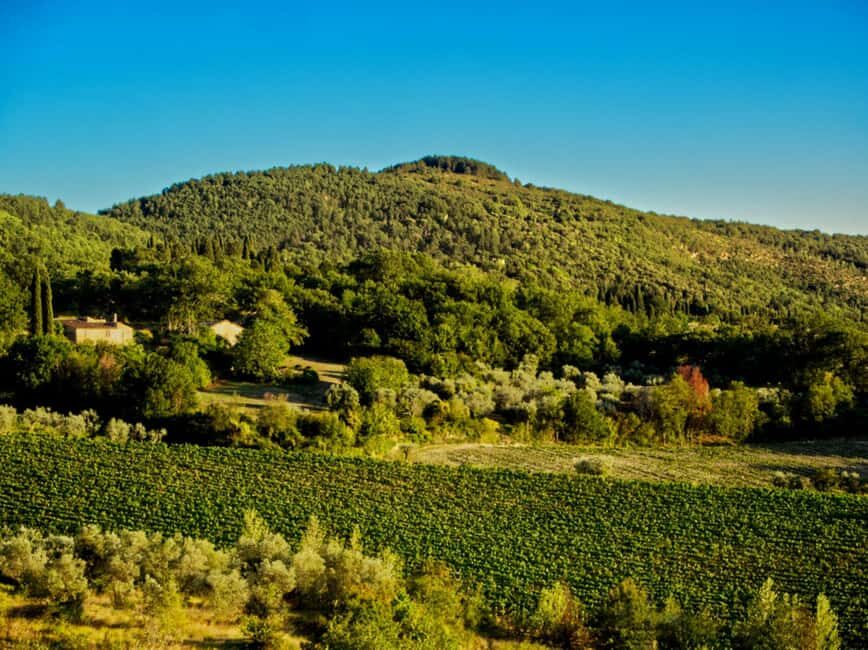 Florence: Fiesole E-Bike Tour with Olive Oil Tasting - The Olive Mill Stop: Tasting Olive Oil Like a Pro