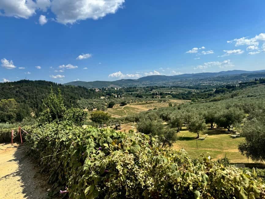 Florence: Fiesole E-Bike Tour with Olive Oil Tasting - Price and Value: Why This Costs About $28