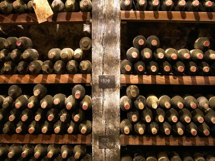 Florence: Great Chianti Wine and Olive Oil Trail with Lunch - Why this Chianti day feels like learning, not just tasting